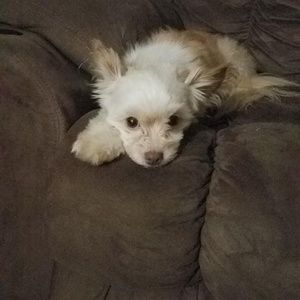 Meet your Posher, Christine